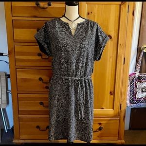 14, WHBM Dress. Lovely, with cinched waist & tie